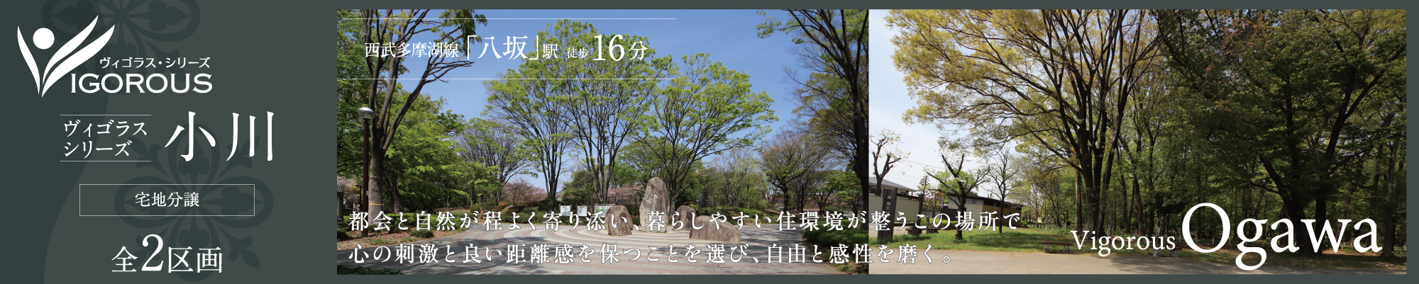 ヴィゴラスシリーズ小川
