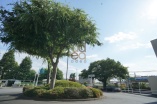 駅