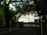 小学校