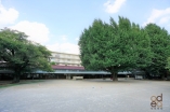 幼稚園