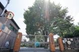 幼稚園