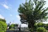 公園・運動施設