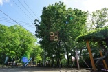公園・運動施設