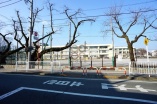 小学校