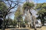 公園・運動施設