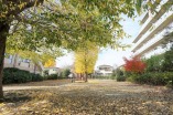 公園・運動施設