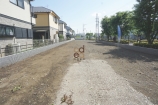  土地