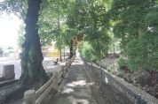 野火止用水遊歩道