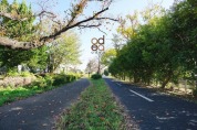 保谷狭山自然公園自転車道線