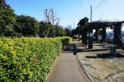 栄町緑地
