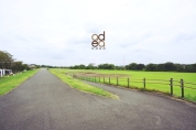 多摩川緑地野球場