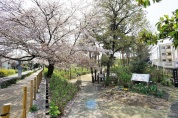 あじさい公園
