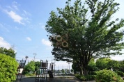 小川西町地域センター公園