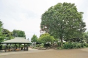 野火止公園