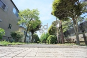 仲原緑地（仲原）