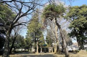森林公園