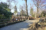 玉川上水遊歩道（西中島橋）