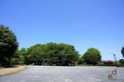 砂川公園