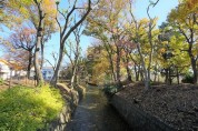 玉川上水遊歩道（宮の橋）