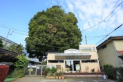 かしの木幼稚園