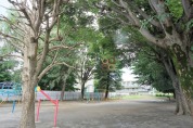 恵泉通り東公園