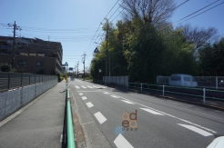 西道路　南方向