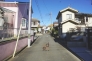 東道路　北方向