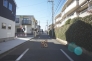 北道路　西方向
