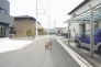 南道路　東方向