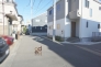 1号棟　北道路　東方向