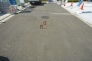開発道路　北方向