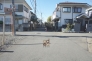 南道路　西方向