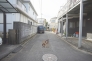 南道路　西方向