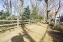 玉川上水遊歩道 20m
