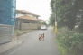 北道路　西方向