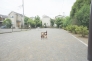 小川うどの里公園 50m