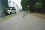 北道路　西方向