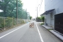 東道路　南方向