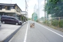 東道路　北方向