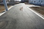 開発道路　南方向