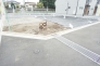 11号地　土地　北東側