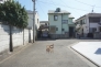 東道路　南方向