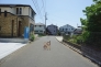 西道路　南方向
