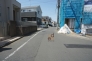 西道路　北方向