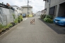 北道路　東方向
