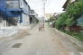 東道路