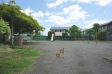 　【撮影日】2024/04/25