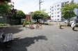 　【撮影日】2019/05/03