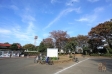 　【撮影日】2021/11/07