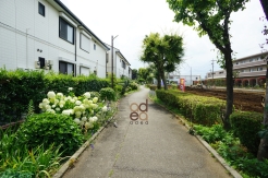 南側緑地 東方向